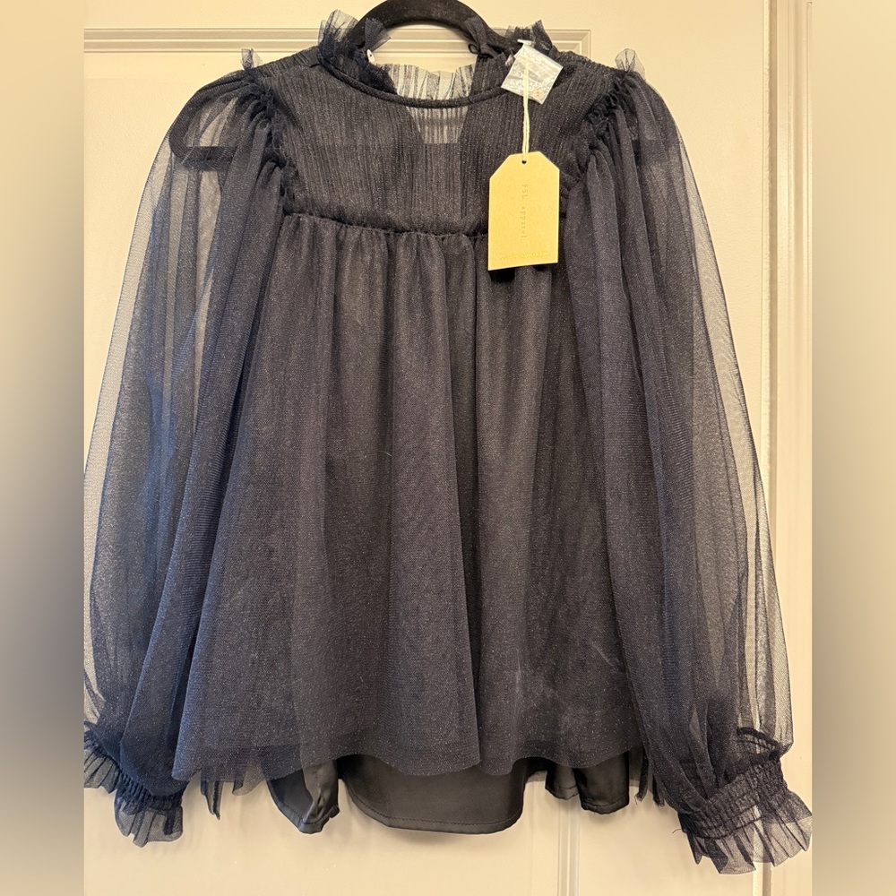 Elegant Sheer Blouse